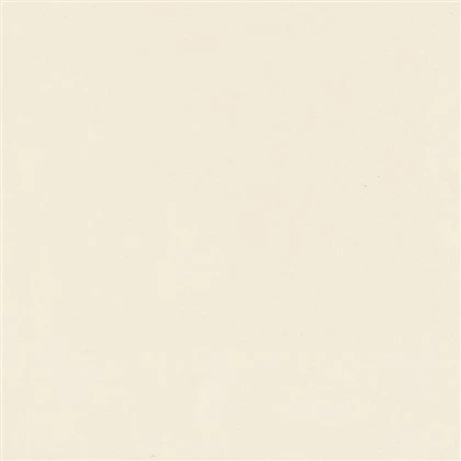 Platine Blanc N60111K